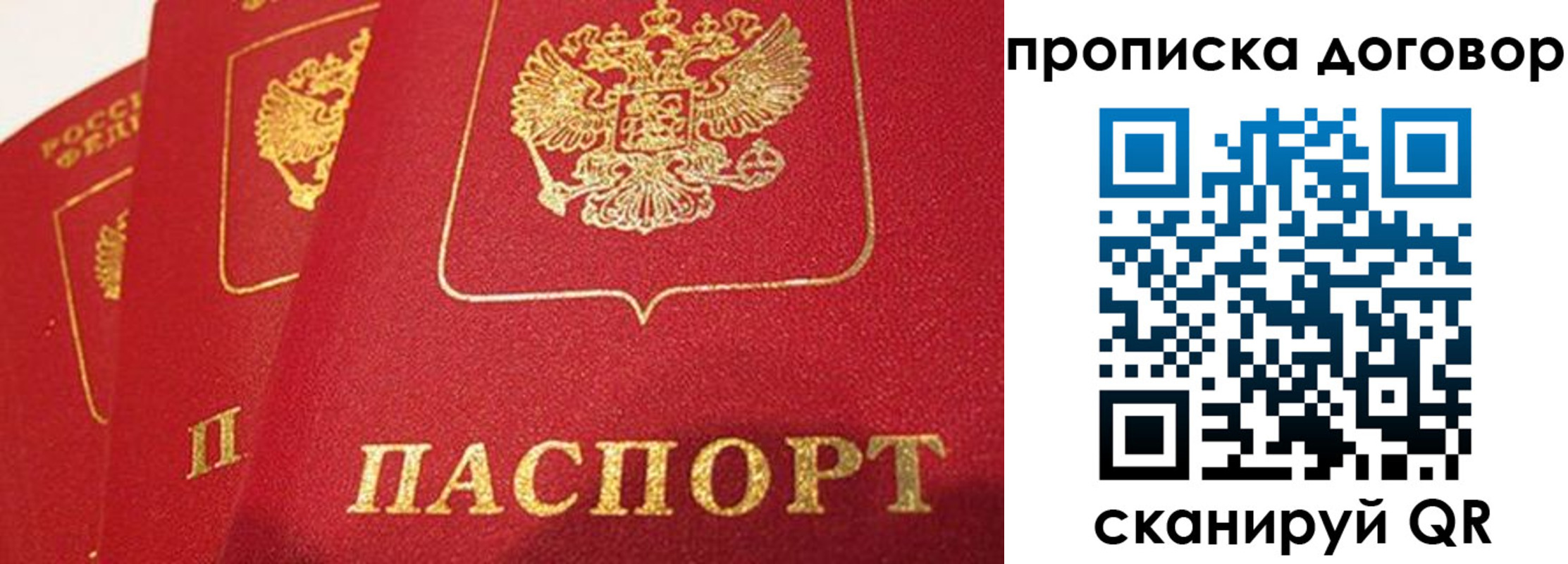 найти адрес прописки в Трубчевске